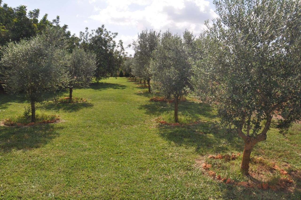 Vakantieboerderij Porreti *